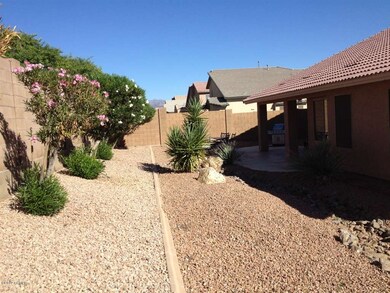 Back yard