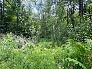 95 Barrywilde Rd, Sheldon, VT 05455 - photo 3