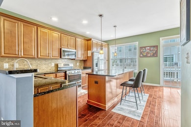 23348 Madison Heights Terrace, Ashburn, VA 20148 - photo 5