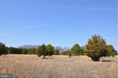 0 Griffith Neck Rd unit 1000100357, Cambridge, MD 21613 - photo 7