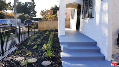 Front steps and front yard