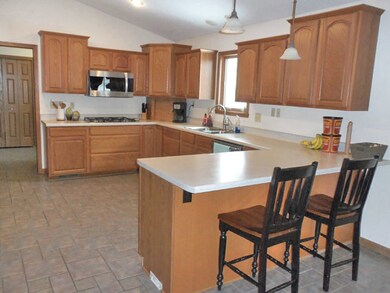 3827 E Mockingbird Ln, Byron, IL 61010 - photo 7