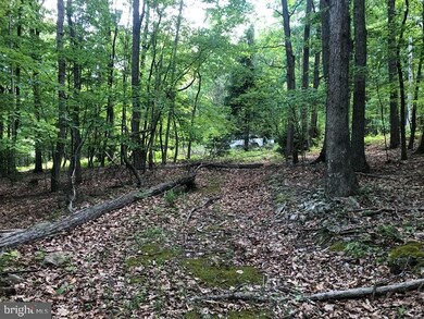 23 High Mountain View Rd, Three Chrs, WV 26757 - photo 7