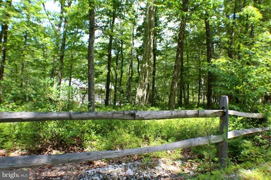 5387 High Knob Rd, Old Fields, WV 26845 - photo 4