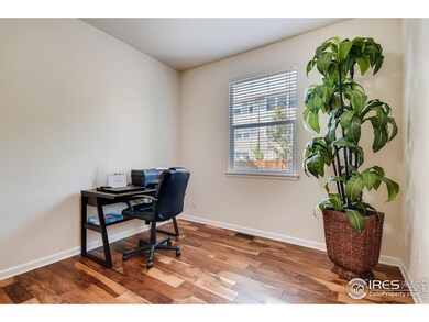 13951 Dexter Way, Thornton, CO 80602 - photo 5