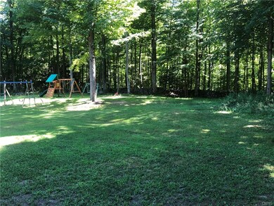 big backyard