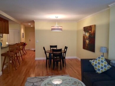 2 St Paul St unit 307, Brookline, MA 02446 - photo 4