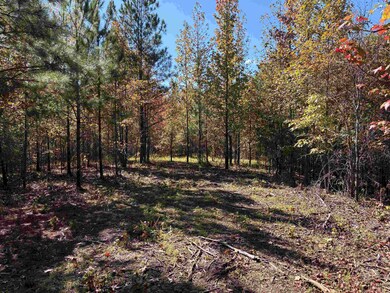 0 Bethuel Rd unit Lot 7, Unincorporated, TN 38053 - photo 7