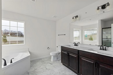 Bathroom with vanity, toilet, and a washtub