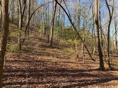 TBD Collett Woods Trail, Andrews, NC 28901 - photo 4