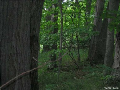Land/Lot