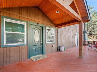 4961 Little Cub Creek Rd, Evergreen, CO 80439 - photo 3