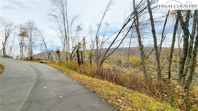 A18 Meadow Ave Loop, Banner Elk, NC 28604 - photo 5