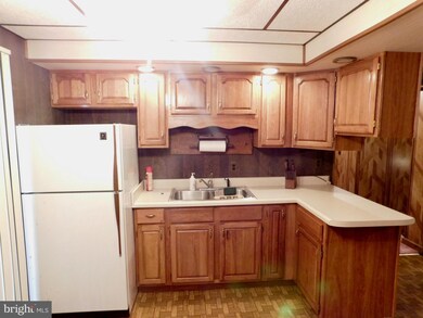 0 Crites Ln unit 1004352483, Keyser, WV 26726 - photo 5