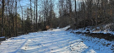 00 Jenkins Rd, Lowman, NY 14861 - photo 2