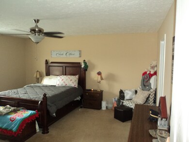 1915 Hills Chapel Rd, Manchester, TN 37355 - photo 6