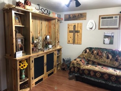 15314 Red Mountain Ln, Collbran, CO 81624 - photo 5