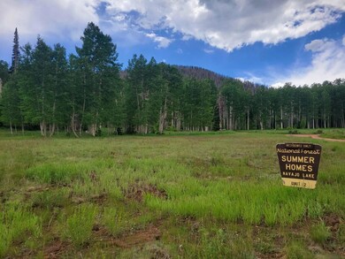 Navajo Lake Summer Home