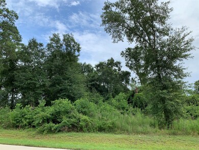 31111 Roanoke Woods Dr, Tomball, TX 77375 - photo 6