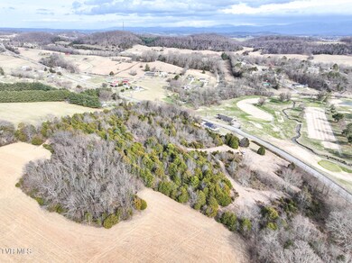 9 Ac Chuckey Hwy, Chuckey, TN 37641 - photo 7