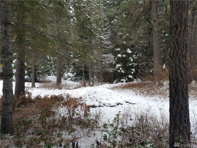 710 Highland Loop, Ronald, WA 98940 - photo 6