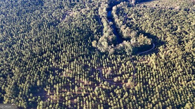 0 Buckeye Rd unit 10650376, East Dublin, GA 31027 - photo 6