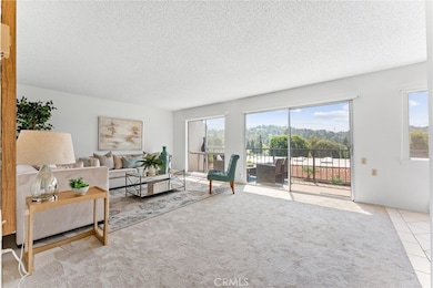 3271 San Amadeo unit P, Laguna Woods, CA 92637 - photo 2