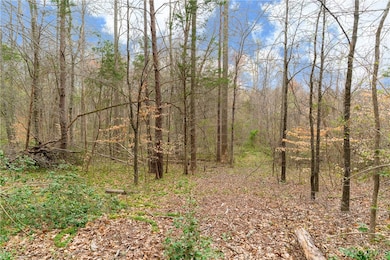 0 Proffits Rd, Louisa, VA 23093 - photo 4