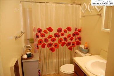 475 Meadowview Dr unit B301, Boone, NC 28607 - photo 7