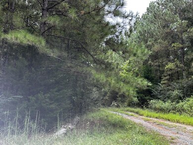 View of local wilderness