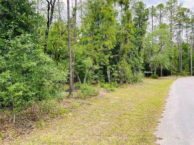 Amazing 1.26 Acres In The Woodlands of Rainbow Springs--Build Your New Florida Dream Home or Purchase and Hold for Investment.