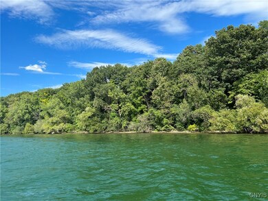 A 100 Feet of this Beautiful Shoreline is Yours
