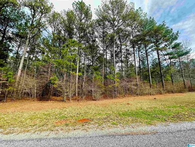 000 Wildberry Ln unit 13, Sylacauga, AL 35151 - photo 6