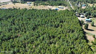 40 Acres N Old Highway 95, Athol, ID 83801 - photo 4