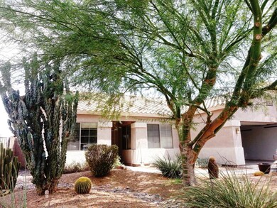 Front Yard (2)