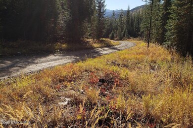 114a Packer Creek Rd, Haugen, MT 59842 - photo 6