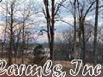 Lot 1B County Road 759, Jonesboro, AR 72401 - photo 5