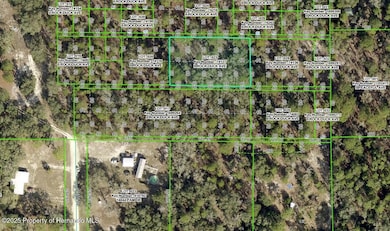 0 Rock Duck Ave unit 2256822, Weeki Wachee, FL 34614 - photo 3