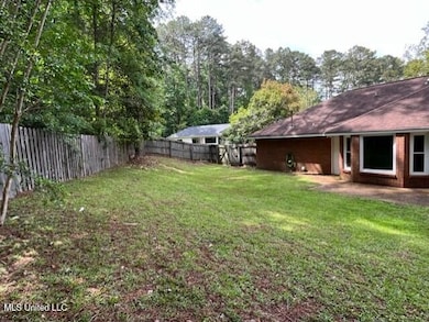 Back yard2