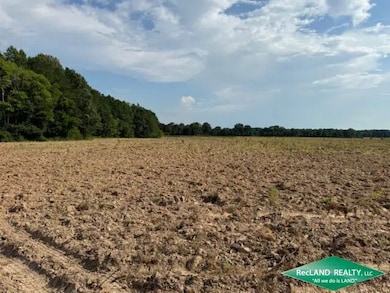 State Highway 173, Wilmot, AR 71676 - photo 2