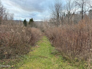 0 Newport Rd unit 28, Newport, NY 13416 - photo 6