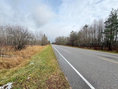 00 S Riverside Dr, Sault Ste. Marie, MI 49783 - photo 4