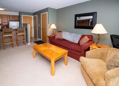 350 Mountain Rd unit 207, Ludlow, VT 05149 - photo 4