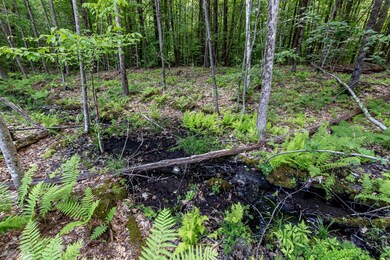 247 Southwest Rd, Canterbury, NH 03224 - photo 7