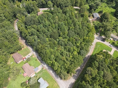 0 Talley (Lot 1) Dr, Union, SC 29379 - photo 5