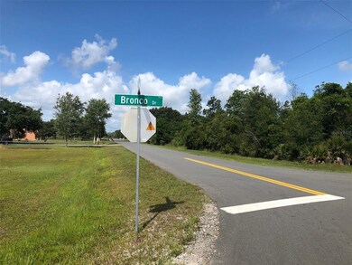 0 Bronco Dr unit O5945609, Saint Cloud, FL 34771 - photo 6