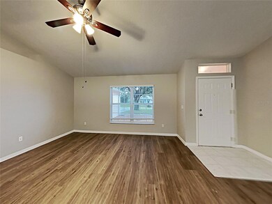 1064 Scenic View Cir, Minneola, FL 34715 - photo 4