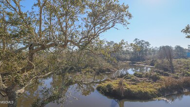 bayou view