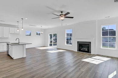 624 Thunder Gulch Ave, Lexington, SC 29073 - photo 5