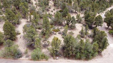 DJI_0010